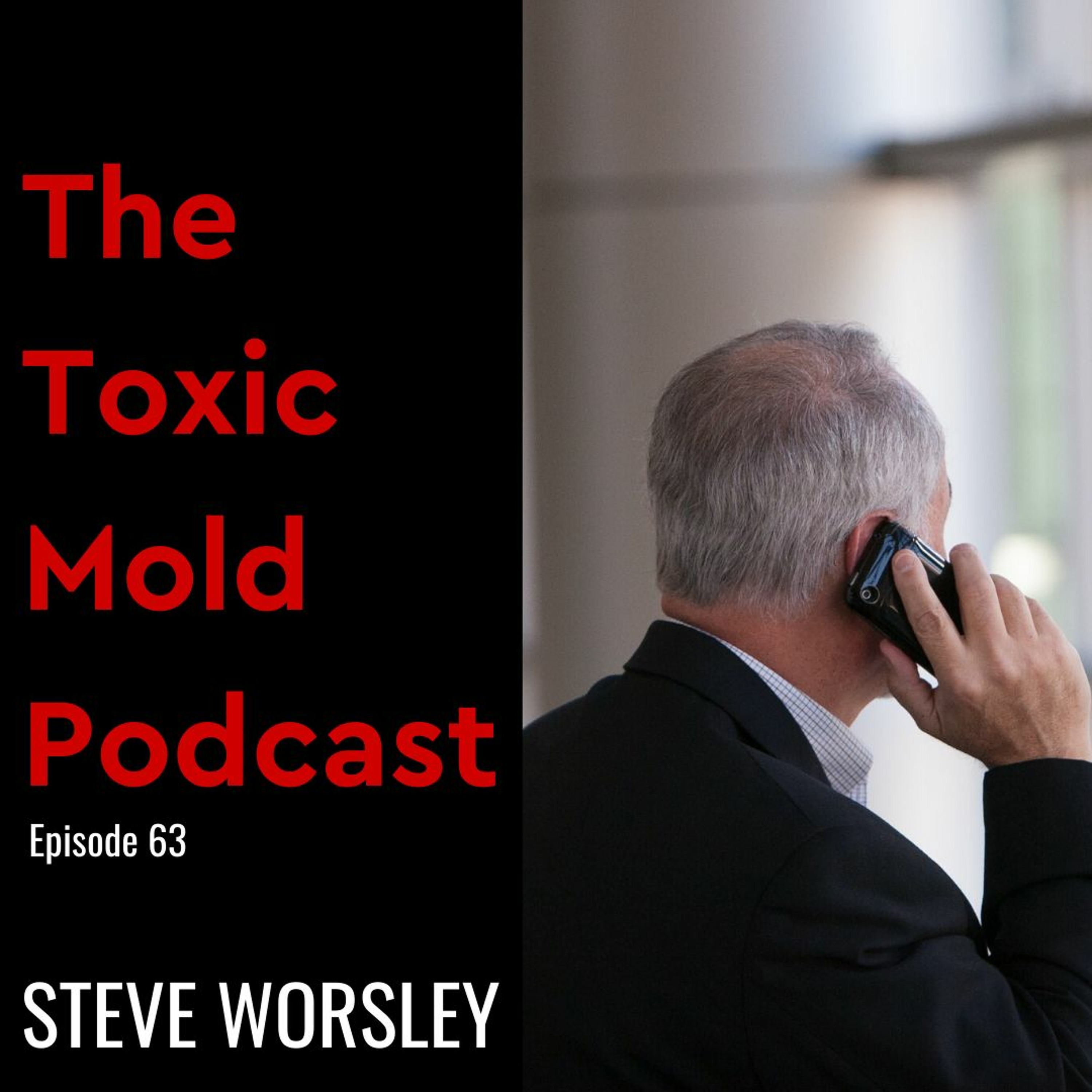 The Toxic Mold Podcast
