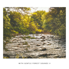 With Gentle Forest Sounds II