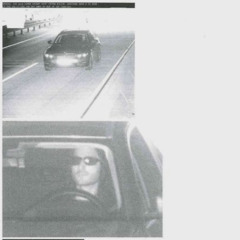 Pig Fragments I Versinken (3diz nasty Mix)