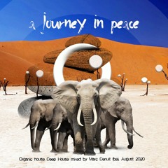 A Journey in Peace // Marc Denuit August 2020