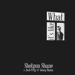 What It's Like (feat. Josh Pray & Sonny Bama)