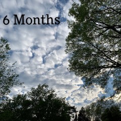 6 Months