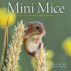 Access [EPUB KINDLE PDF EBOOK] Mini Mice Mini Wall Calendar 2021: The Tiny World of H