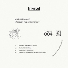 PREMIERE | Marius Mane - I Like You ft. Dr. Echoe [The Transient Nature of The Disco Business] 2022