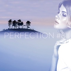 PERFECTION #8