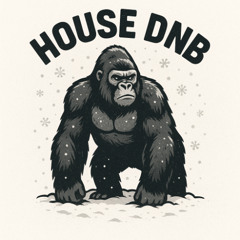 Go Getta DNB (B2B Blxnder Remix Bootleg)