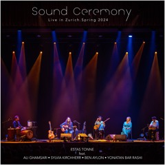 Internal Flight Journey-Quintessence (Live) [feat. Ali Ghamsari & Sylvia Kirchherr]