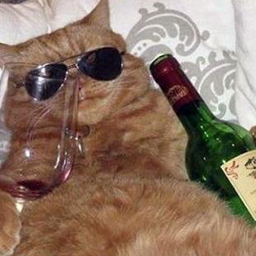 인생은 좆됐다면 그때부터 시작입니다