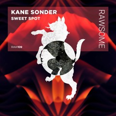 Kane Sonder - Next To You [RAW109]