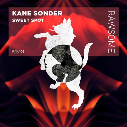 Kane Sonder - Sweet Spot [RAW109]
