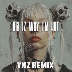 DIE ANTWOORD - DIS IZ WHY I'M HOT (YNZ REMIX) [600 FREEBIE]