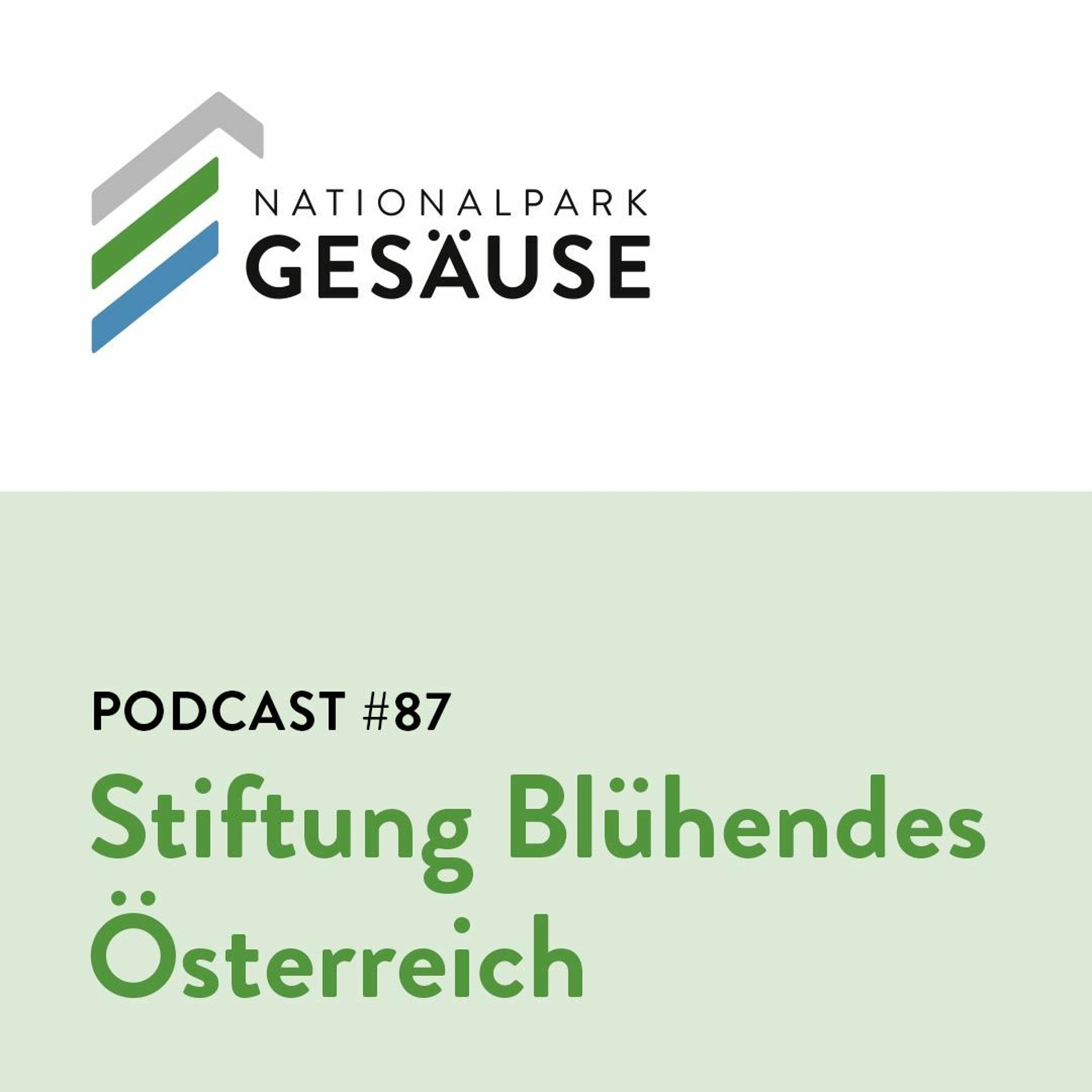 Podcast #87 - Stiftung Blühendes Österreich episode artwork