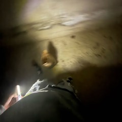 old jazz (isaac horner)