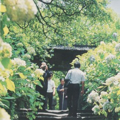 Japanese Pop Natures from 1934 ~ 1985 by Tomotaro Kaneko & dj sniff