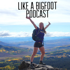 #410: Kate Ringwood -- Struggles of Athletes and How to Face Them, Serendipity Counseling