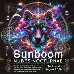 DJ Sunboom - NUBES NOCTURNAE (Night Cloud) - Techno Mix - August 2024