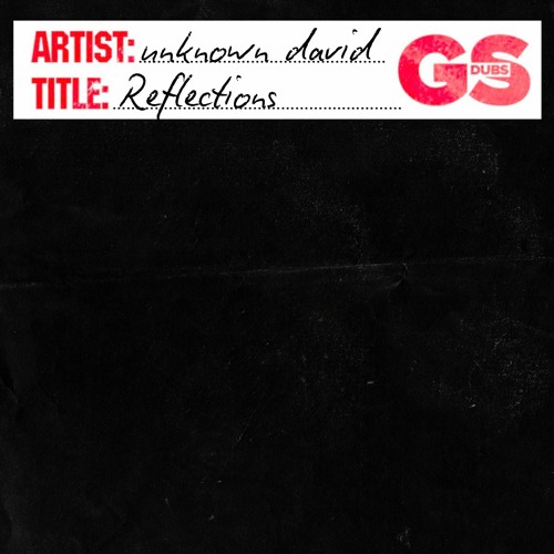 unknown david - Reflections