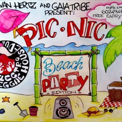 Zalone Goes To Tenerife @ Pic Nic Electronico TFN