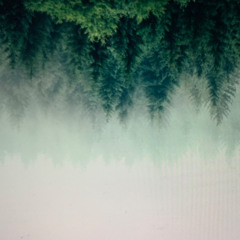 When You DIE - Freema Mix