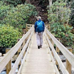 Review Special Price Thundering Streams And Falls Of The Smokies Guided Hiking Tour