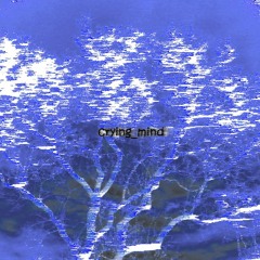 crying_mind (INSTRUMENTAL)