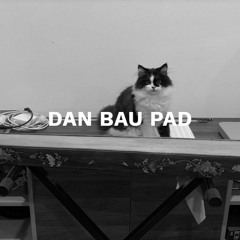 Dan Bau Pad