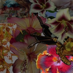 Everything Will Be Alright