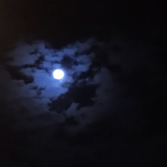 لاهود الليل ..