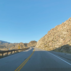 I Want You Around by Snoh Aalegra (cover)