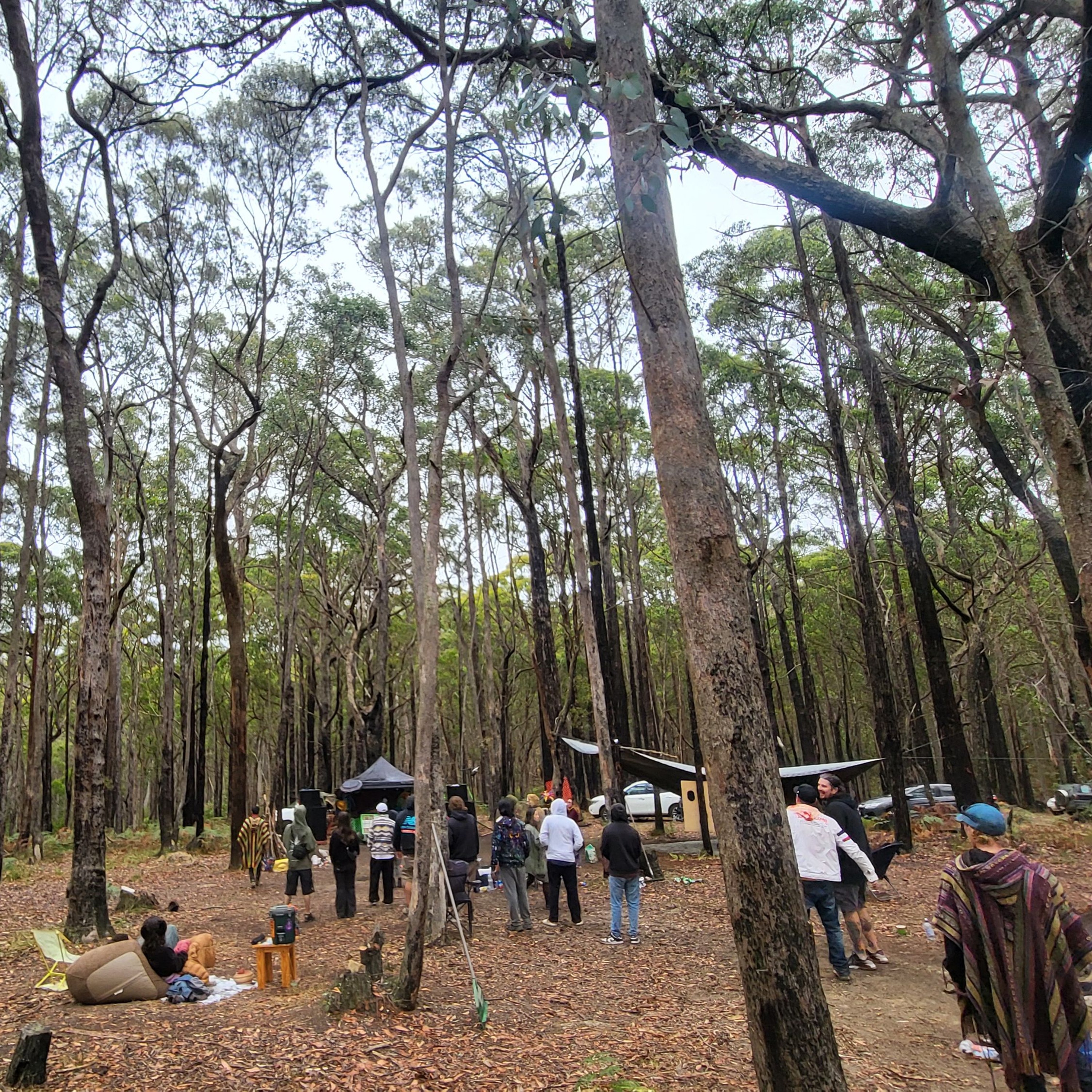 Harry Blotter - Forest & Psytrance set (Private Gathering - Vic Bush) Jan 2025 thumbnail