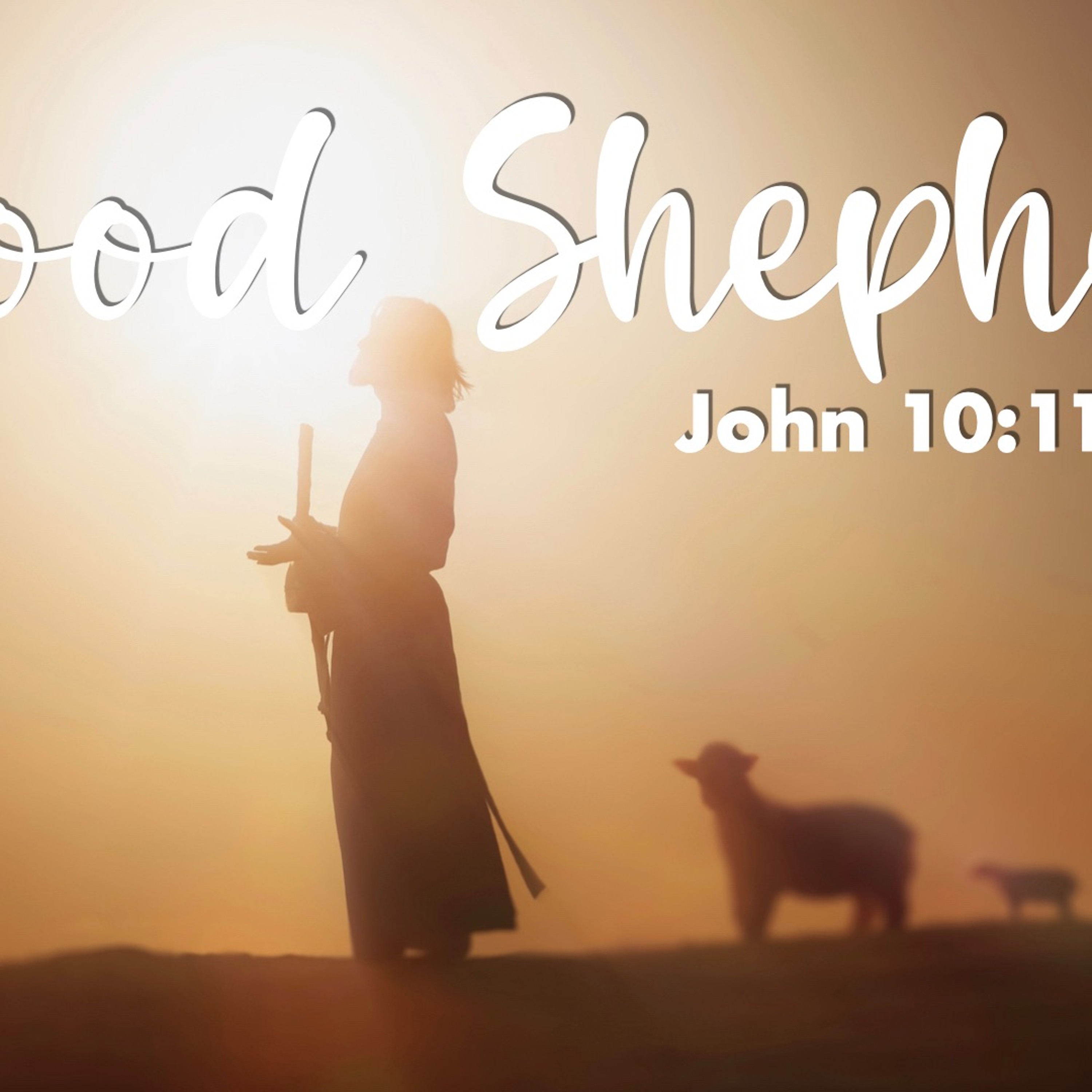 The Good Shepherd Pt.2 - John 10:11-21 - Matthew Niemier episode artwork