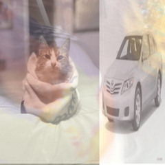 catboycatastrophe x *67 - camry (curxxedtaimana)