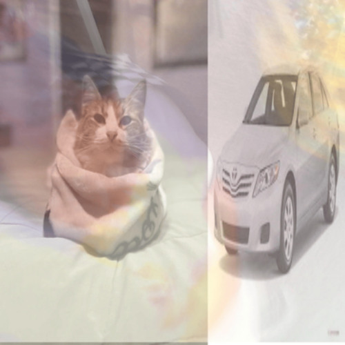 catboycatastrophe x *67 - camry (curxxedtaimana)