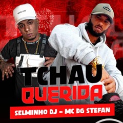 TCHAU QUERIDA ((SELMINHO DJ)) MC DG STEFAN