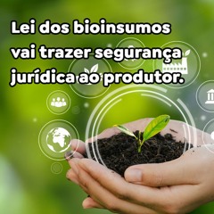 Lei dos bioinsumos vai trazer segurança jurídica ao produtor