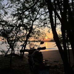 Reggae Session Vol.1