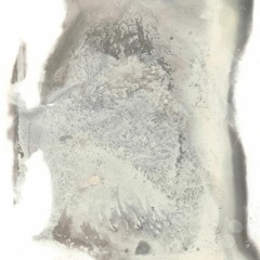 The Consolation of Water Lilies