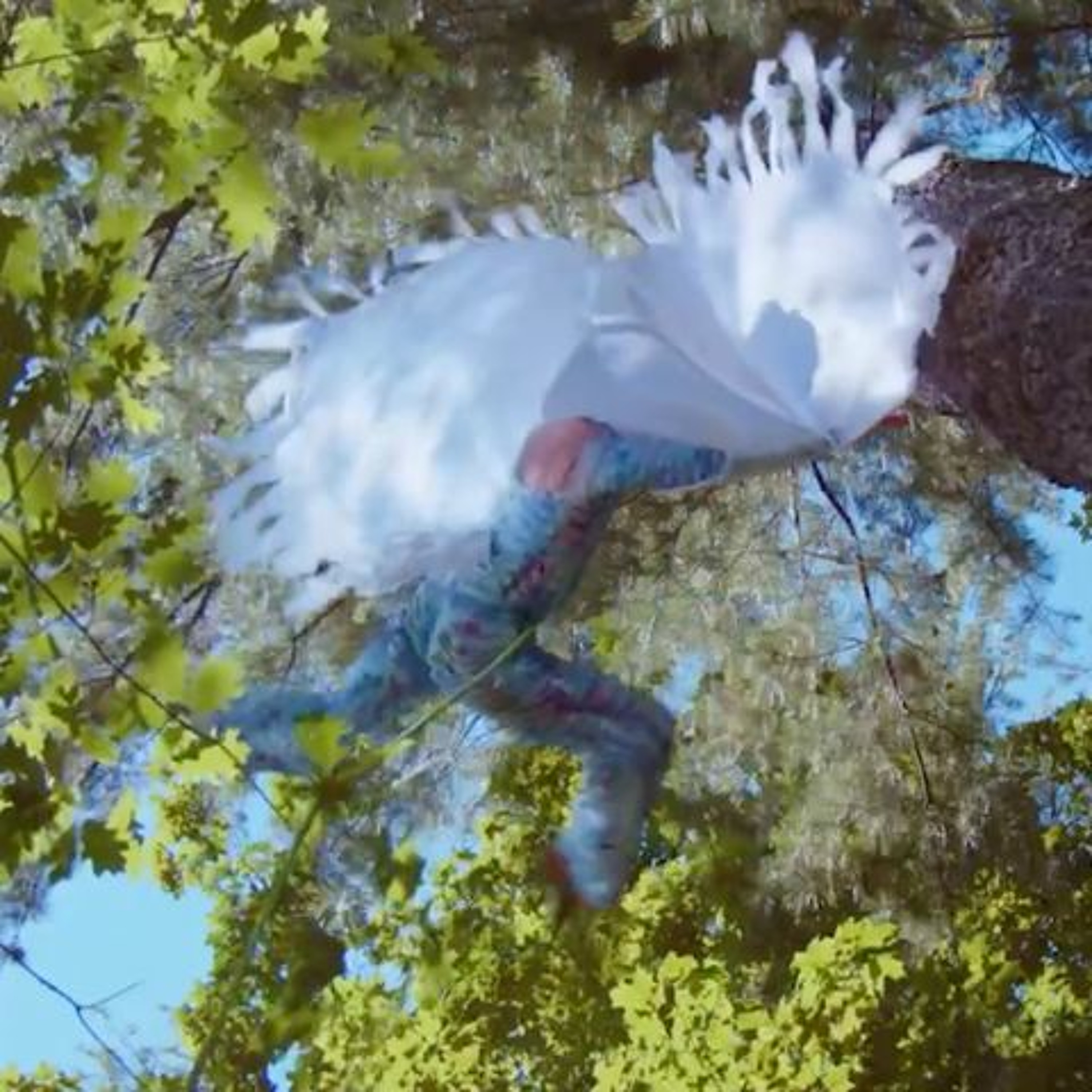 The World Fusion Show