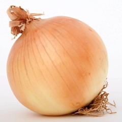 JOOST - funny onion song