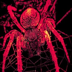 Spider ft. Rob Fucks (prod-gmanz)