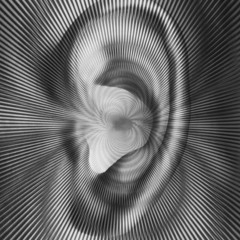 paradigm(Sam'Stars)
