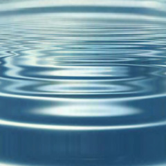 Tes éclats de silence