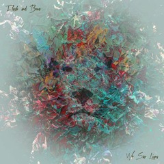We Saw Lions - Flesh and Bone