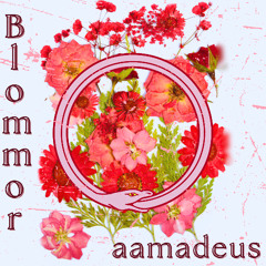 aamadeus - blommor