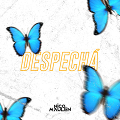 DESPECHÁ (Remix)