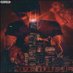 Secluded ft. ZayKG (prod. brandonthepro)