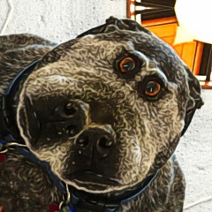 Digital Sausage