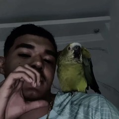 Trapzada