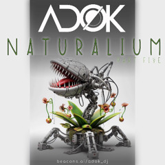 Naturalium | Part Five