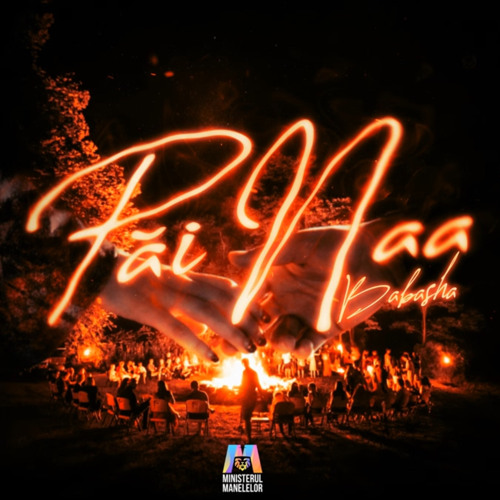 Stream Babasha-Păi naa by TRENDING | Listen online for free on SoundCloud